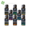 Essential oil gift set for aromatherapy diffuser